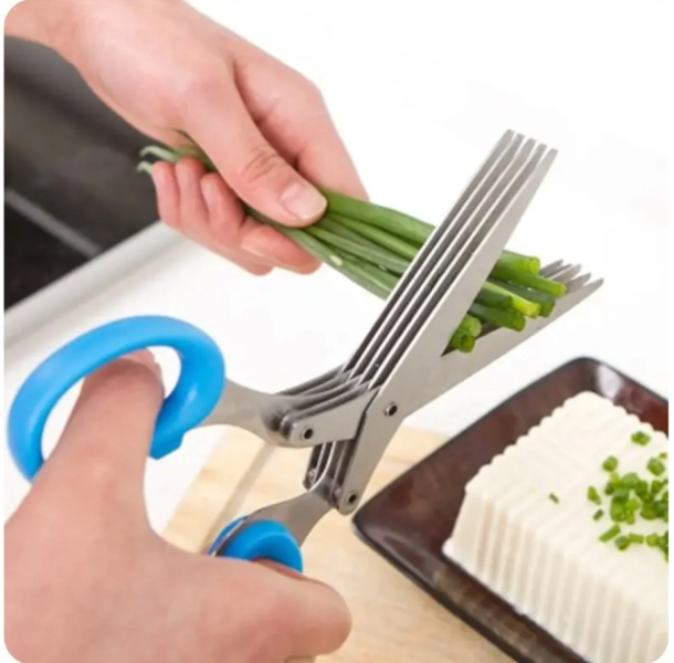 Multifunction Vegetable Stainless Steel Herbs Scissor with 5 Blades